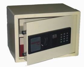 ES25 Safe