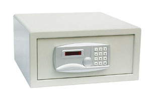 EX1000DT Safe